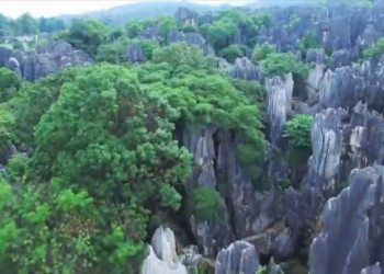 قصة قصيرة: النعش