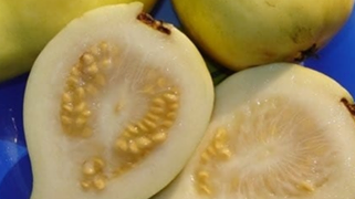 فوائد الجوافة الصحية