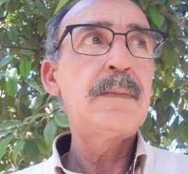 قصيدة: تكشف الشمس عن ساقها