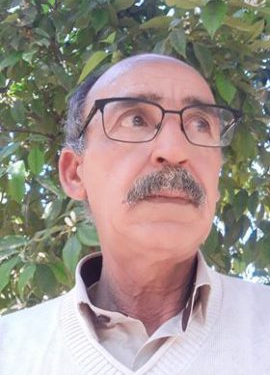 قصيدة: تكشف الشمس عن ساقها