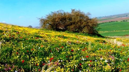 “كذبة في زهرة نيسان” – الورقة الثالثه